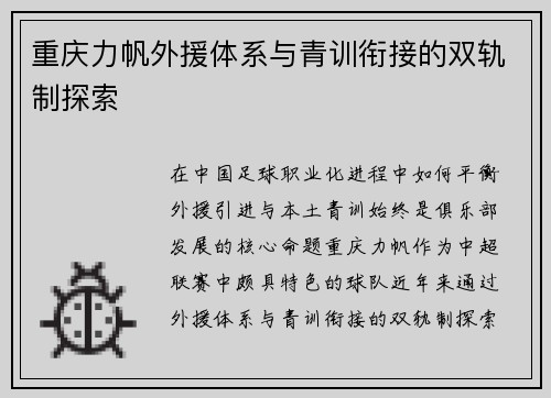 重庆力帆外援体系与青训衔接的双轨制探索