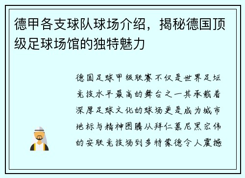 德甲各支球队球场介绍，揭秘德国顶级足球场馆的独特魅力